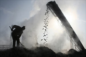 Coal India shares, sensex