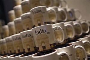 coffee stocks