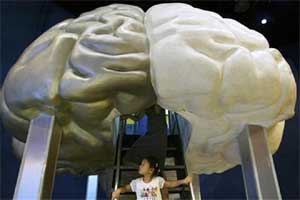 Brain region that plays central role in addiction identified; may unveil ‘quit’ trigger