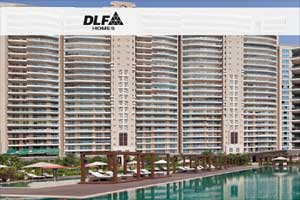 DLF