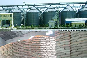 Large silo in West Bengal lying unused