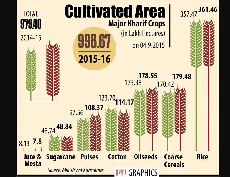 cultivated area