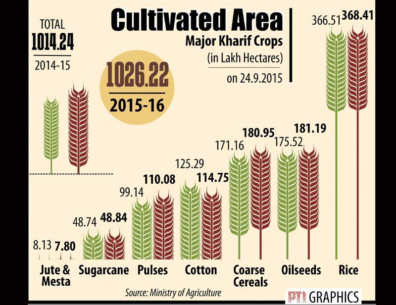 Cultivated area (Graphs: PTI)