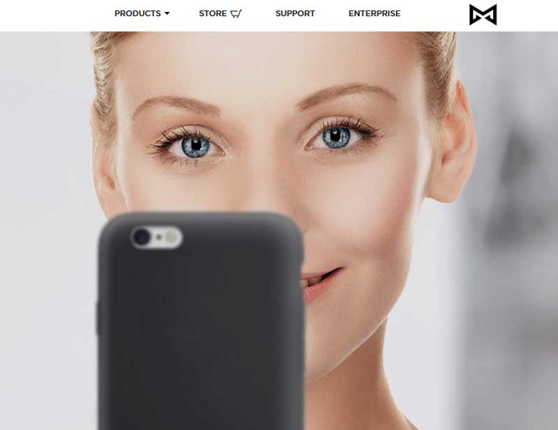 apple, John Sculley, misfit