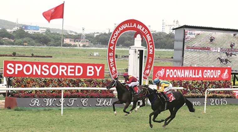 race box office collections