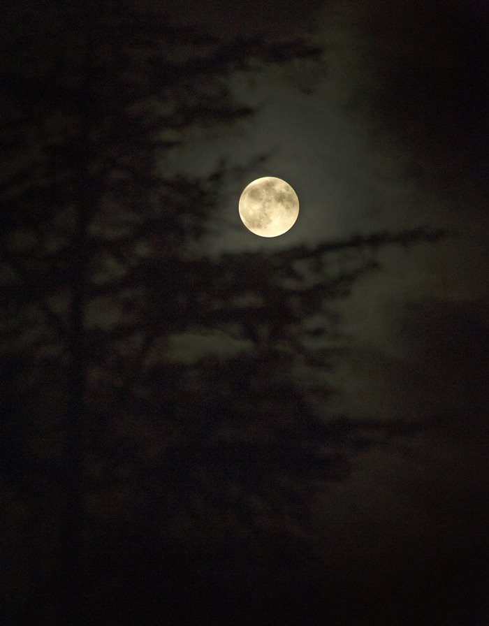 Supermoon