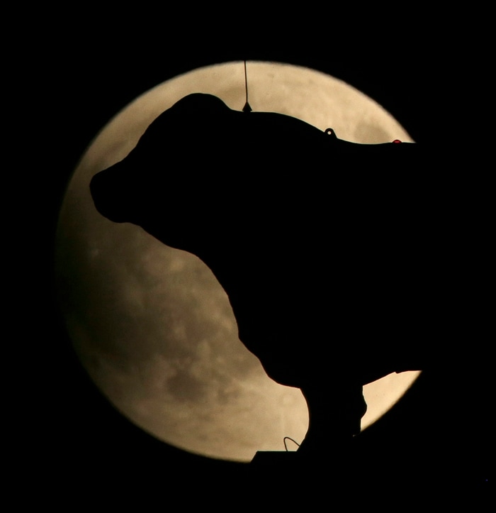 Supermoon