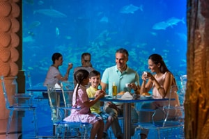 10 must-do activities for families at Atlantis, The Palm