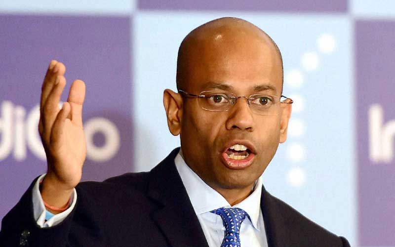 indigo ipo, indigo ipo date, indigo ipo review