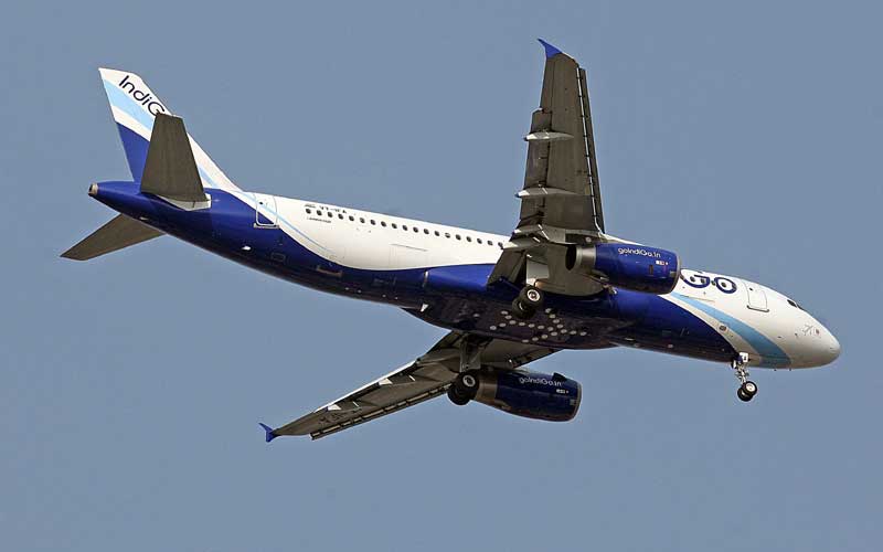 indigo ipo, indigo ipo review, indigo ipo date, indigo ipo news