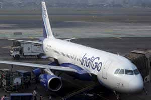 indigo