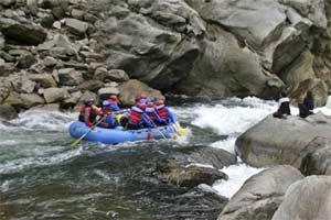 After Yoga, govt babus to go on jungle safari, rafting for ‘better risk taking’