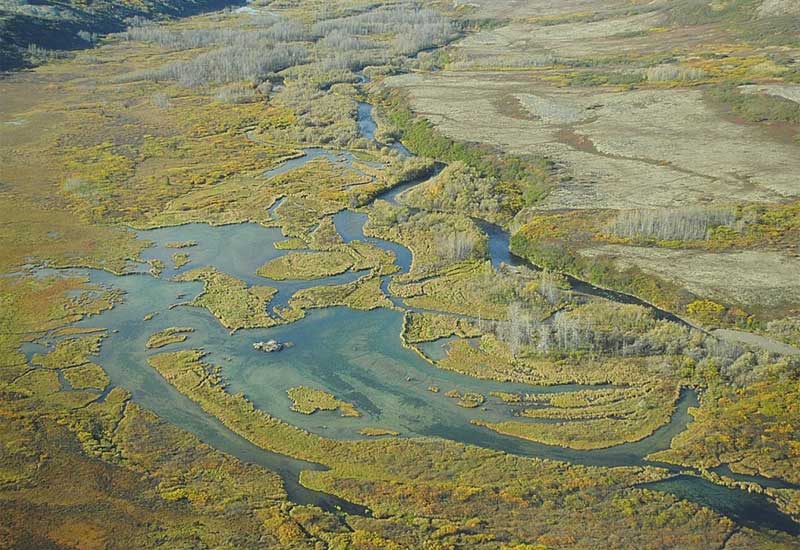 world Bank watershed projects