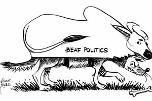 beef politics