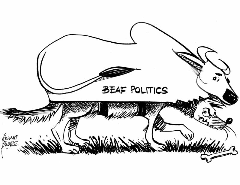 beef politics