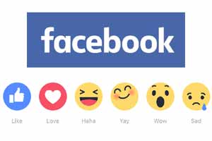 Facebook like