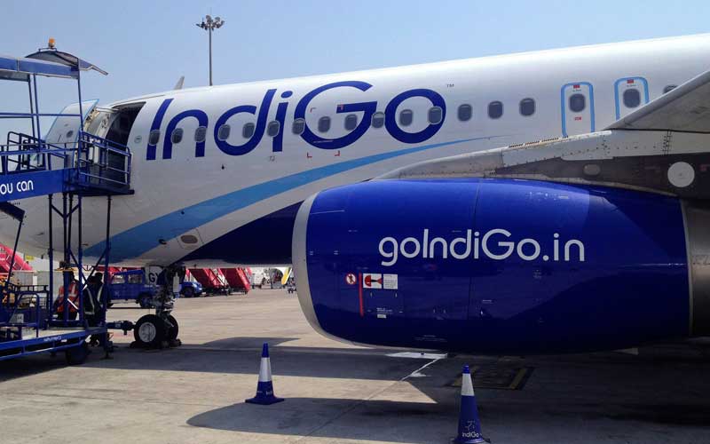 indigo ipo, indigo ipo review, indigo ipo date, indigo ipo news