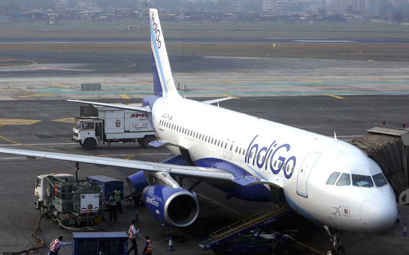 indigo ipo, indigo ipo review, indigo ipo date, indigo ipo news