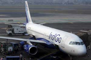 indigo ipo