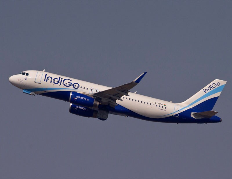 indigo