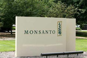 monsanto india