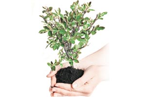 Budget 2016: Exemption under Section 80 CCD for the Retirement plans of Mutual Funds is requested to make such Mutual Fund Retirement Plans as preferred option to channelize long term retirement money into equities. Budget 2016: Exemption under Section 80 CCD for the Retirement plans of Mutual Funds is requested to make such Mutual Fund Retirement Plans as preferred option to channelize long term retirement money into equities.