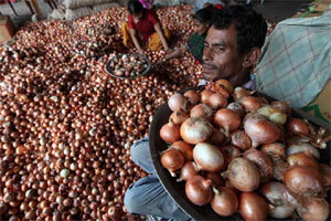 onion prices