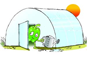 Chlorophile: Learnings from Israel’s agricultural solutions