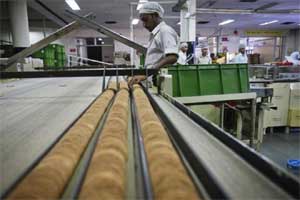 britannia industries shares