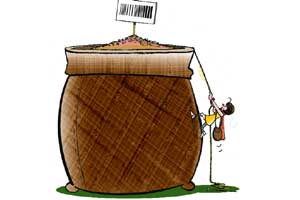 Pulses buffer stock plan hits quality wall