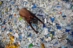 Clean India campaign, swachh Bharat, World Toilet Fair, Asian Institute of Technology