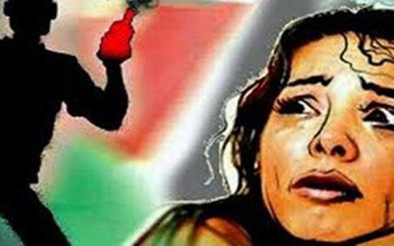 Delhi Commission for Women, Shaheen Malik, Women's Press Corps, Acid attack, Ashok Gupta