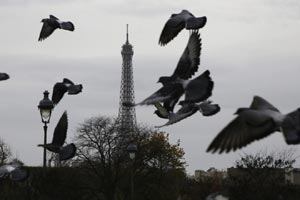 Paris attacks, eiffel tower