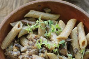 Lucknow lab test on pasta