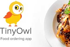 tinyowl employees tinyowl employees