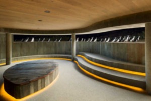 Phillip Island gets new penguin viewing experience