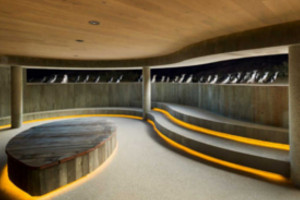 Phillip Island gets new penguin viewing experience Phillip Island gets new penguin viewing experience
