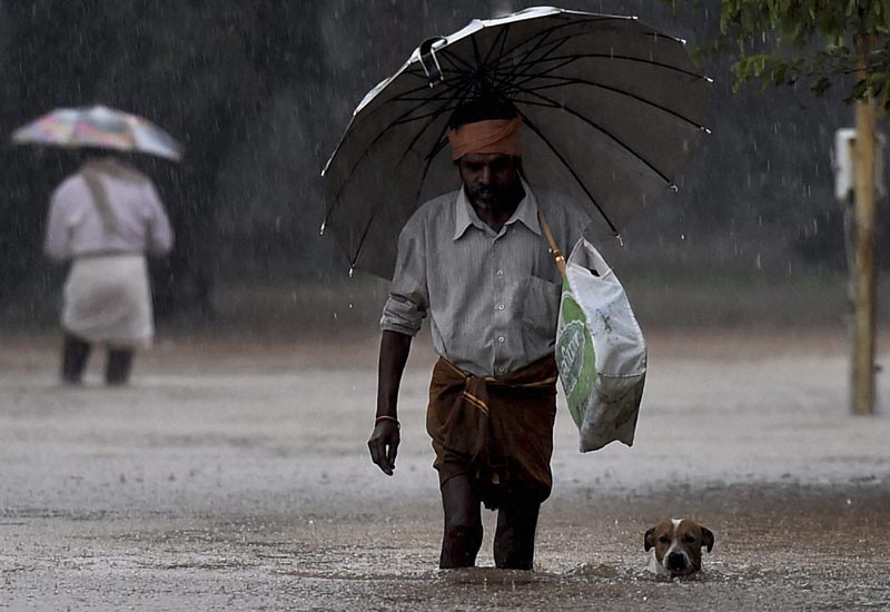 Tamil Nadu rains, Chennai rains, chennai rainfall, chennai flood, tamil Nadu flood