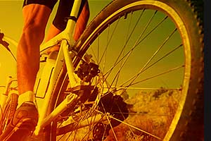 planning a trip, travel itinerary, cleartrip, traveling trends, tarvel industry in idnia, travel trips, travel tips trends