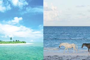 The world’s best island beaches