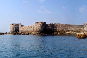 Discovery of dolphins expected to boost Sindhudurg tourism Discovery of dolphins expected to boost Sindhudurg tourism