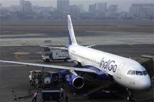 Indigo