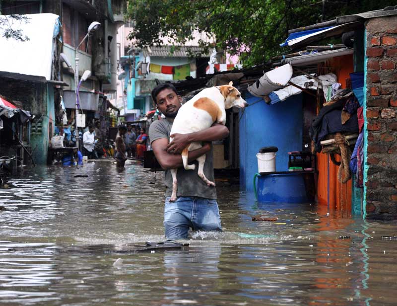 chennai floods