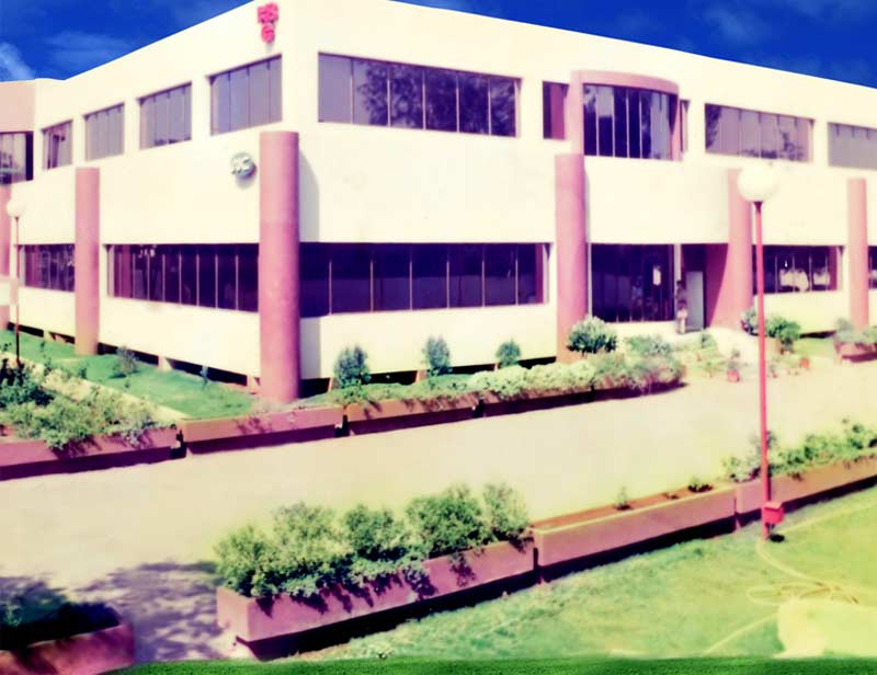 bse, multibagger stocks, multibagger, bse sensex, bse in 2015, multibagger stocks in 2015, Mangalam Drugs & Organics, Uniply, Kesar Petroproducts, top stocks of 2015, top performer on bse nse, top gainers bse, top gainers, multibagger stocks 2016, sensex, nifty, bse, Himachal Fibres, cupid share price, cupid, Alpa Laboratories share price