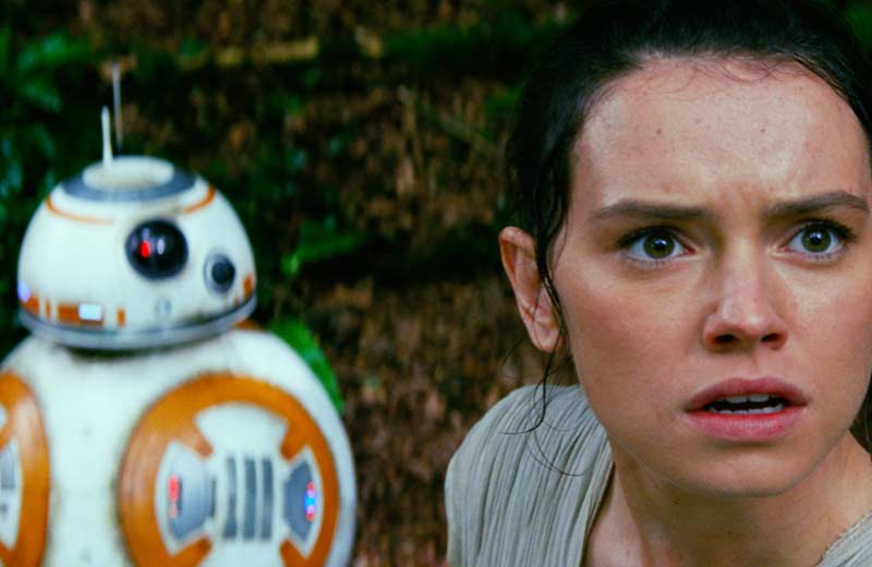Star Wars The Force Awakens, Star Wars, Star Wars The Force Awakens box office collections