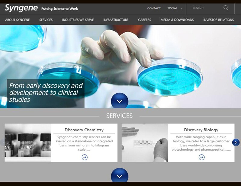 3. Syngene International: Syngene is the only listed contract research firm in the country. Syngene listed on the bourses on August 11, 2015 at a listing price of Rs 295. The issue price of Syngene International was Rs 250. From the list price , the share price of the company advanced 31.55 per cent to Rs 388.10 till December 22. (Source: http://www.syngeneintl.com/)