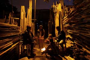 timber, wood, illegal trade of wood, operation sesha