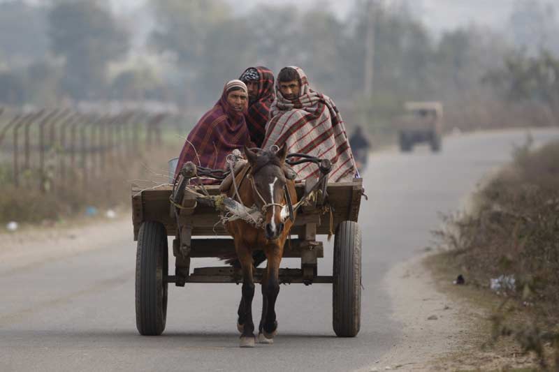 cold, weather, weather report, weather today, weather in delhi, weather forecast