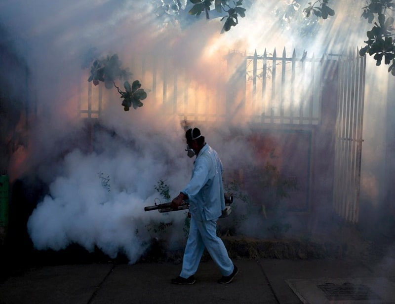 zika virus, zika virus symptoms, zika virus cure, zika virus information, zika virus photos, zika virus brazil, zika virus precaution, zika virus news, zika virus latest news, zika virus information, latest health news