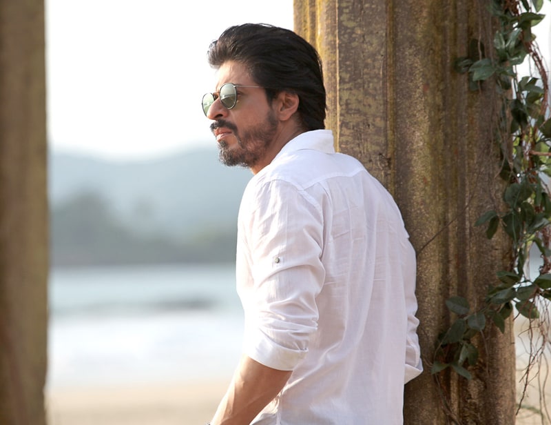 bajrangi bhaijaan, salman khan, salman khan films, piku, deepika padukone, amitabh bachchan, ranveer singh, priyanka chopra, irrfan khan, star screen awards, star screen awards 2015, screen awards 2015, bollywood